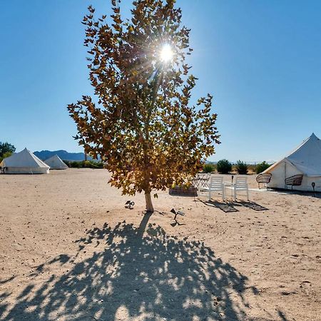 Hotel The Castle House Estate Joshua Tree Esterno foto